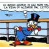 Ducks 24