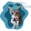 CAT WELL
NOOS W