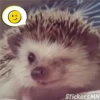StickersMN