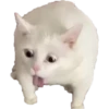 v o i d animals 23