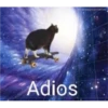 Adios
@cabbagecatmemes
