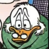 Ducks 25