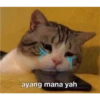 ayang mana yah