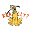 REA
LLY?