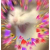 Heart Reaction Pics 25