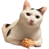 v o i d animals 28