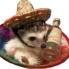 Bendru