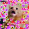 Heart Reaction Pics 26