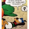 Ducks 27