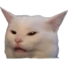 The cat hehe 12