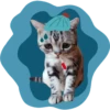 Doodle Cats 16