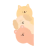 Animals cute 1. 5