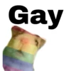 Gay