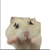 Teddy hammy sticker pack! 6