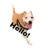 Hello!