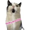Pinky promise