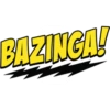 The Big Bang Theory 14