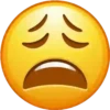 Emojis Faces 13