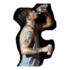 indisstickers 8.0 13