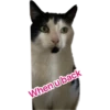 When u back