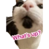 What's up?