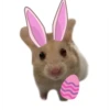 Teddy hammy sticker pack! 14