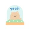 Animals cute 1. 10