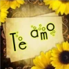 🌻quiero que lo sepas y no 🌻 24