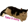 Take it easy