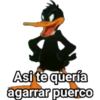 en visto 21