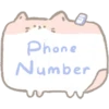 Phone
Number