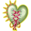 Corazones💞1🇵🇪Clásica 15