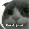 Kakak jahat
