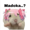 Madoka..?