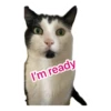 I'm ready