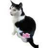 Idk