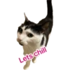 Letschill