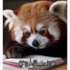 🧿Animalitos🐺🐩🐖🐯🐨 20