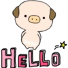 Bellies HELLO am