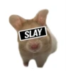 SLAY