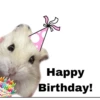 HARRY
Happy
Birthday!