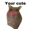 Your cute