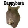 Cappybara