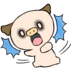 BoNgBoNg PiG 20