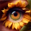 Sunflowers🌻❥☯︎ͫ3🇲🇽Clásica 28