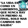 "LA VIDA ES
COMO UN
LABERINTO, SOLO
QUE NUNCA HAY
UN PREMIO AL
FINAL, SOLO MAS
CAMINOS SIN
SALIDA"