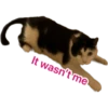 It wasn't me