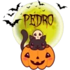 Calabaza Cute 1 5