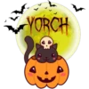 Calabaza Cute 1 7