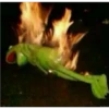 kermit the frog 6
